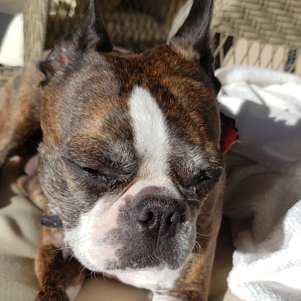 Meet your Posher, Lawrence